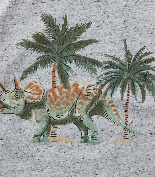 Dinosaur Speckle Top