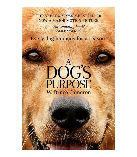 A Dogs Purpose