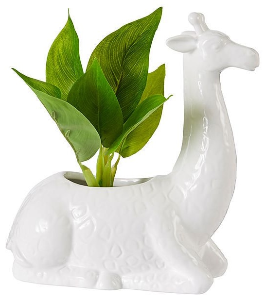 Limited Edition Giraffe Ceramic Planter