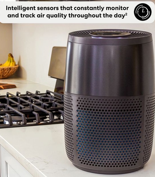 Instant Air Purifier AP100