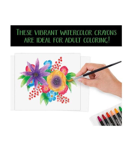 Crayola Signature Premium Watercolour Sticks