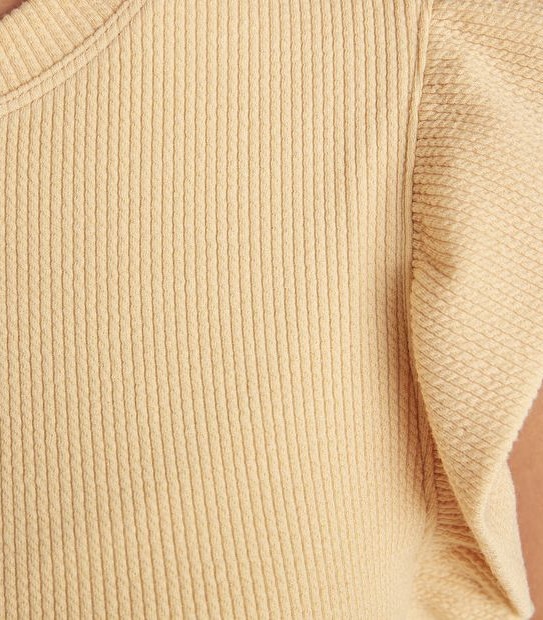 Ruffle Sleeve Top