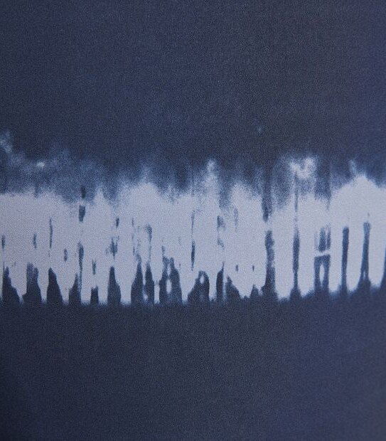 Man Plus Stripe Boardshorts 3 of 6