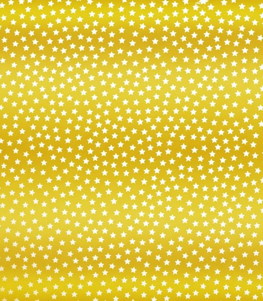 Hallmark Wrapping Paper - Gold and White Stars