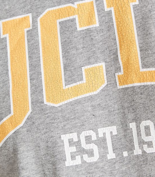 Licensed UCLA T-Shirt