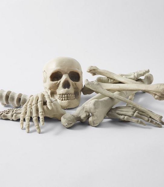 Halloween Bag Of Bones