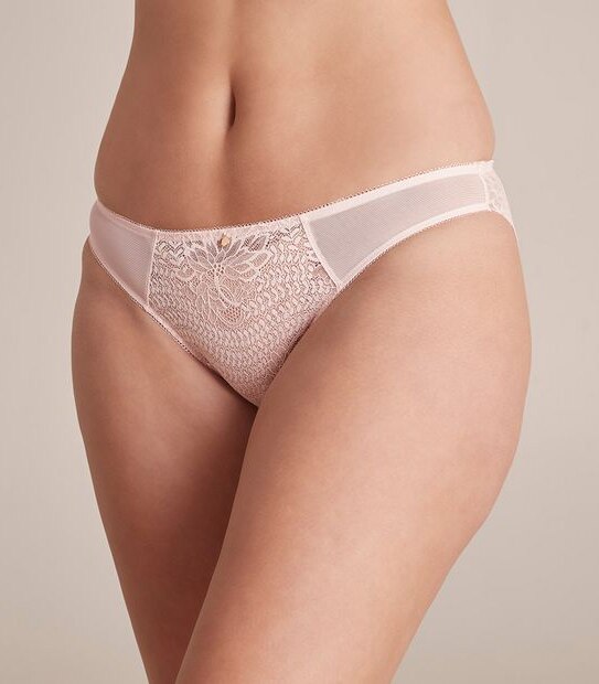 Preview Addison Lace Briefs; Style: X21071