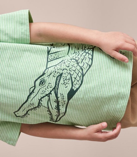 Striped Crocodile T-shirt