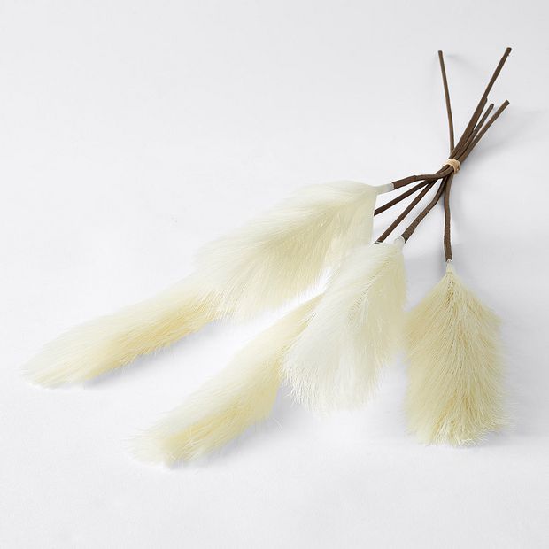 Pampas Grass Bunch Target Australia