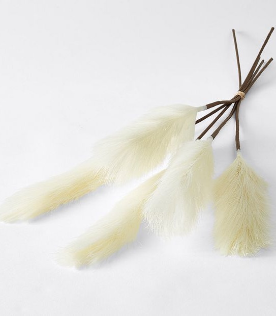 Pampas Grass Bunch