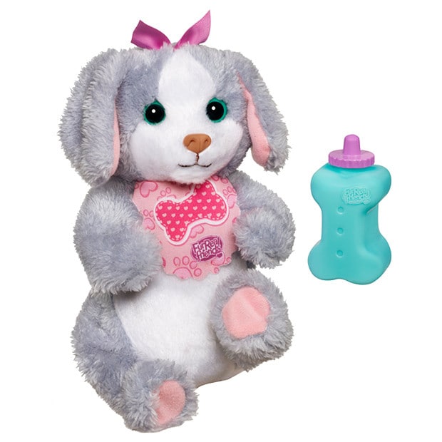 private breeder puppies near me