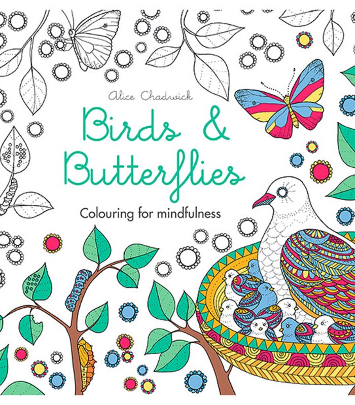 Download Birds And Butterflied Colouring For Mindfulness Target Australia