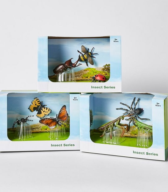 Animal Kingdom Insect Series Medium Pack Assorted