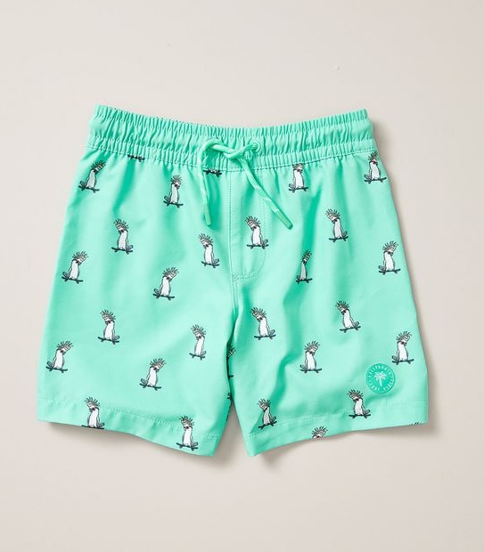 Swim Boardshort