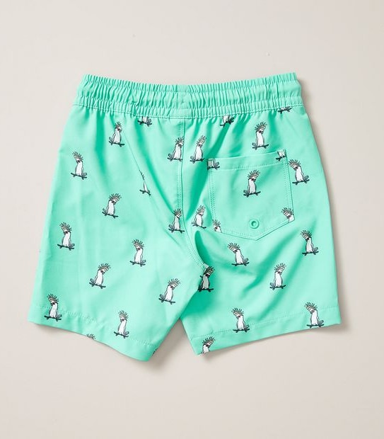 Swim Boardshort