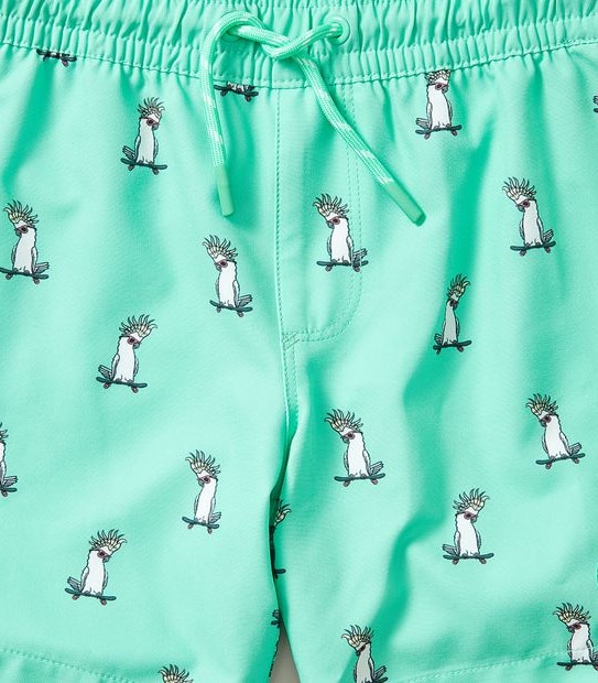 Swim Boardshort