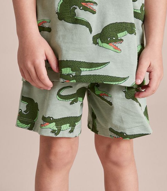 Organic Cotton Alligator Pyjama Set