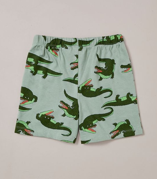 Organic Cotton Alligator Pyjama Set | Target Australia