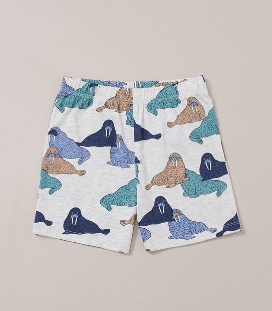 Organic Cotton Walrus Pyjama Set