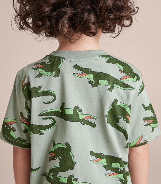 Organic Cotton Alligator Pyjama Set