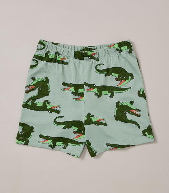Organic Cotton Alligator Pyjama Set