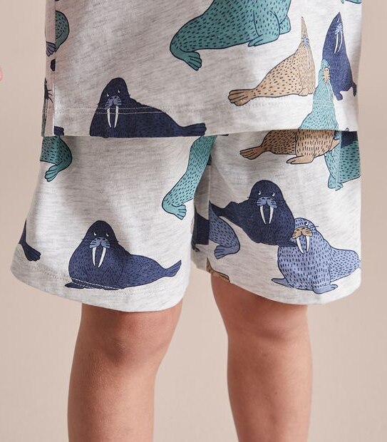 Organic Cotton Walrus Pyjama Set