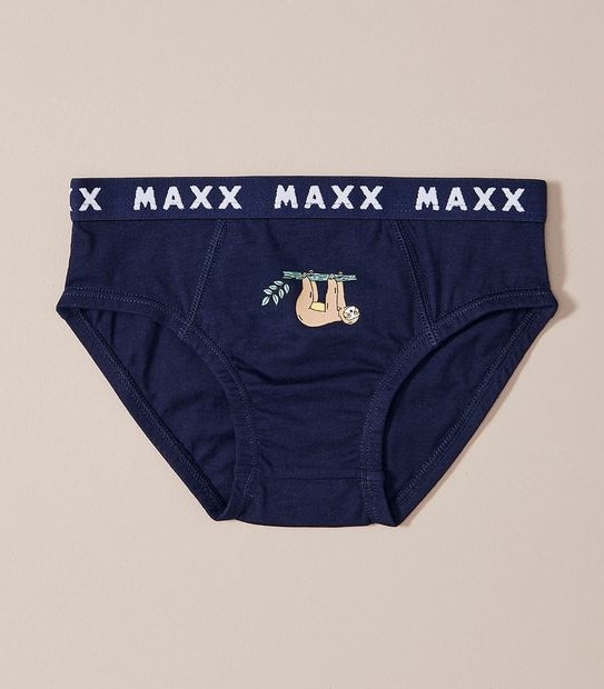 5 Pack Maxx Briefs