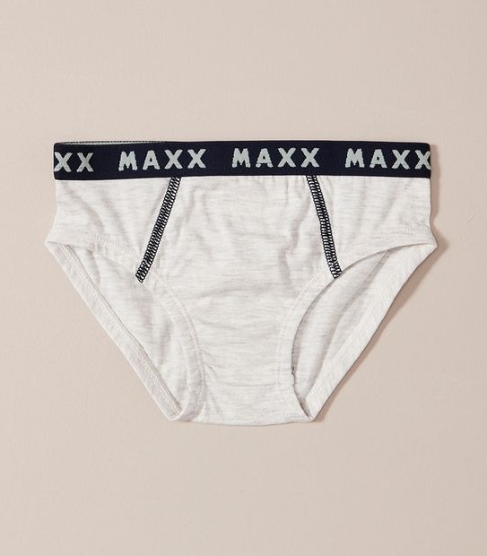 5 Pack Maxx Briefs