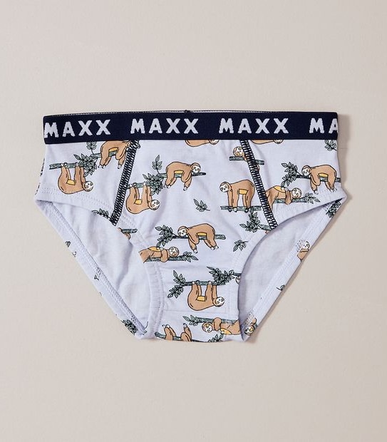 5 Pack Maxx Briefs