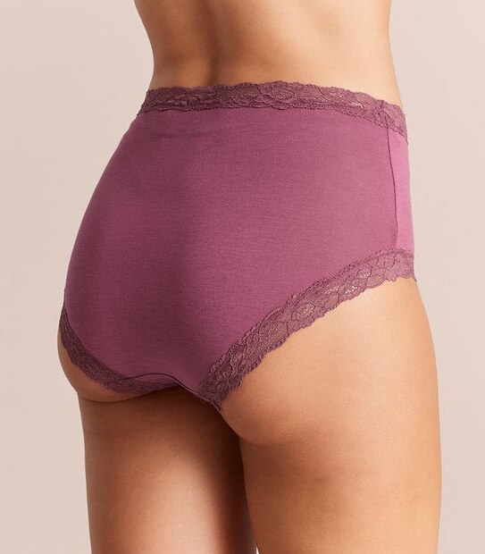 Modal and Lace Full Briefs; Style: WS5190TF