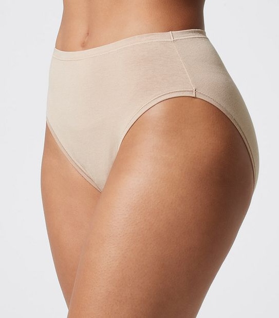 Buy Bamboo Fabric Mid Rise Underwear Pack of 2 Online on Brown Living