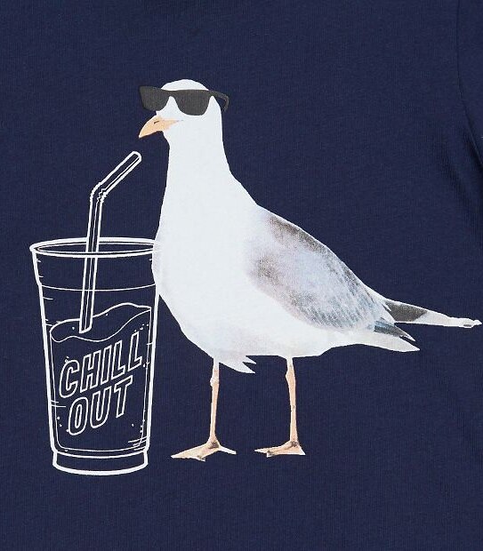 Short Sleeve Seagull Print T-Shirt