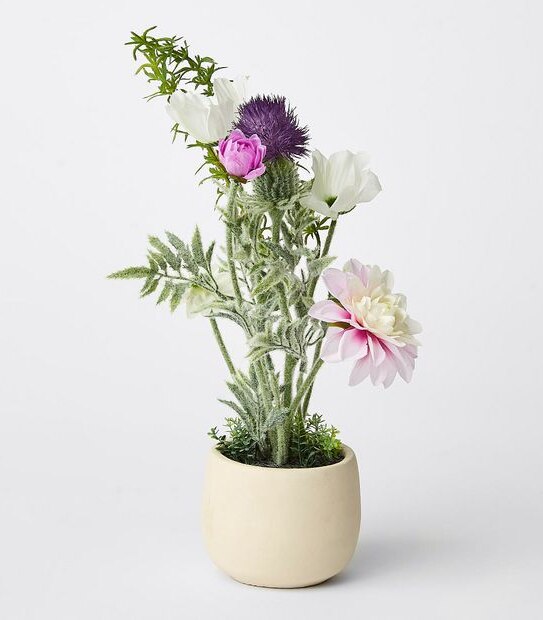 Potted Wild Flowers Target Australia