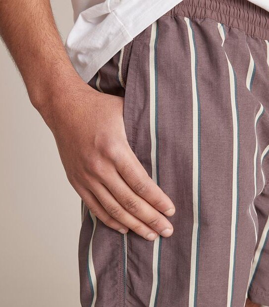 Commons Stripe Volley Shorts