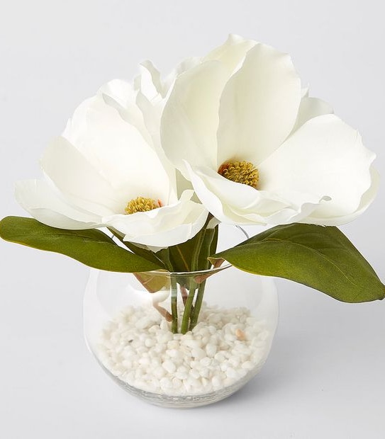 Magnolia In Glass Vase