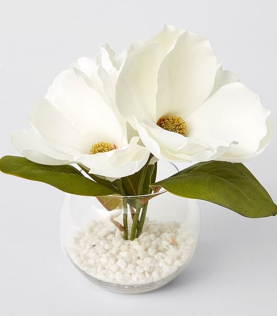 Magnolia In Glass Vase | Target Australia