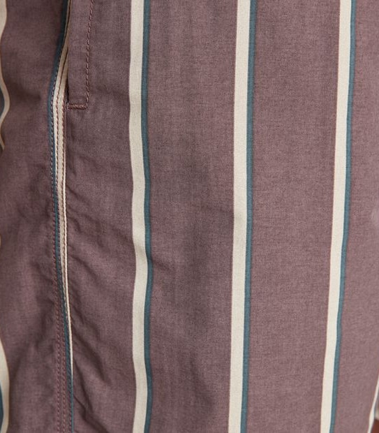 Commons Stripe Volley Shorts