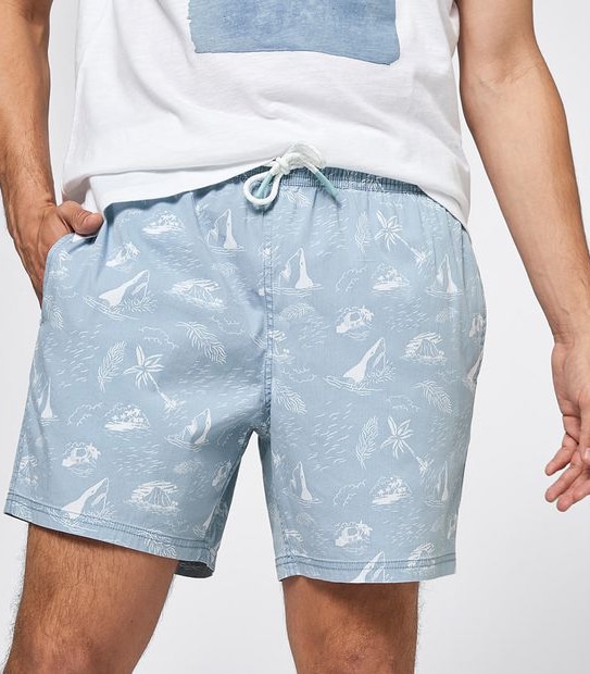 Palm Print Volley Shorts