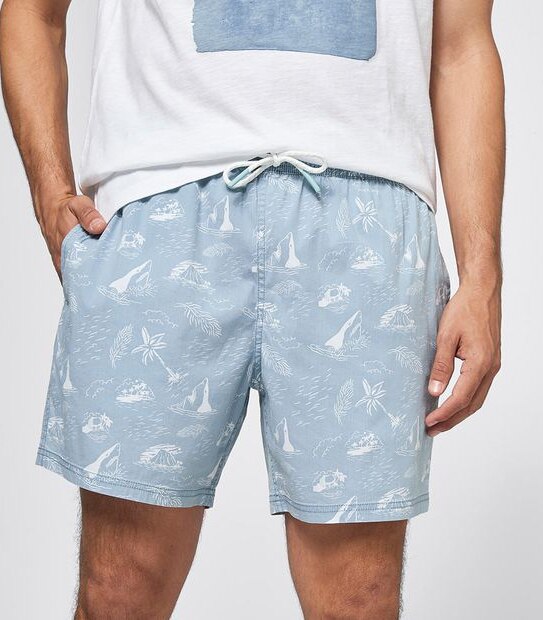 Palm Print Volley Shorts