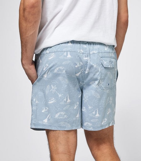 Palm Print Volley Shorts