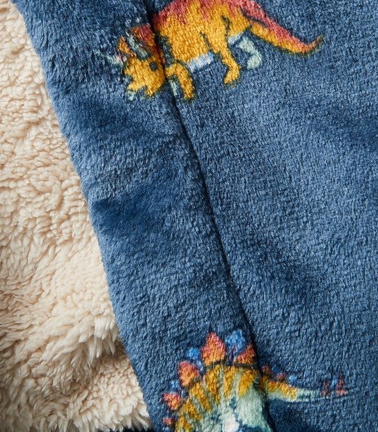 Dinosaur Dressing Gown