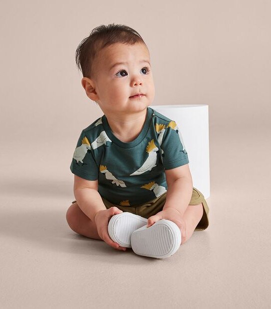 3 Pack Baby Organic Cotton Print T-shirts