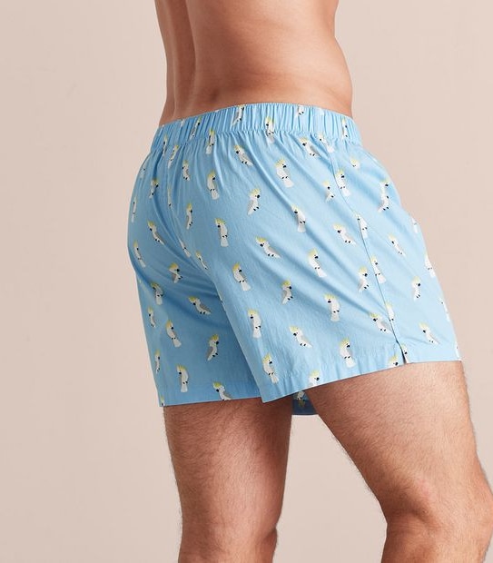 Maxx 3 Pack Woven Boxers