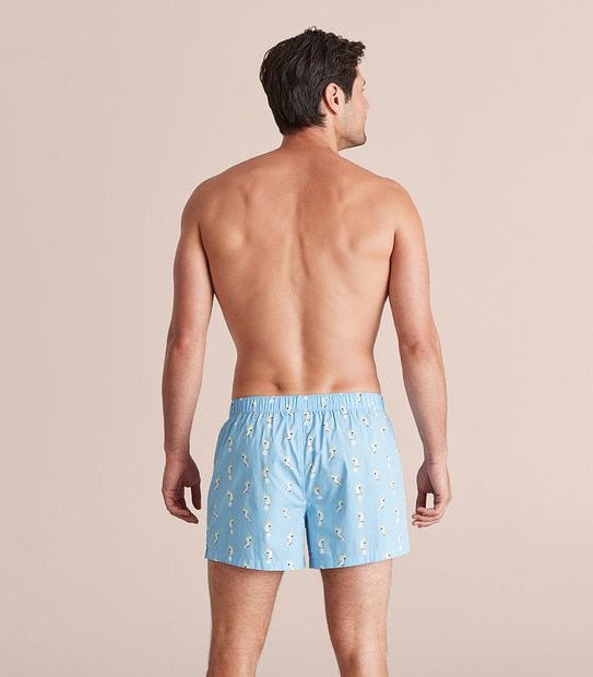 Maxx 3 Pack Woven Boxers
