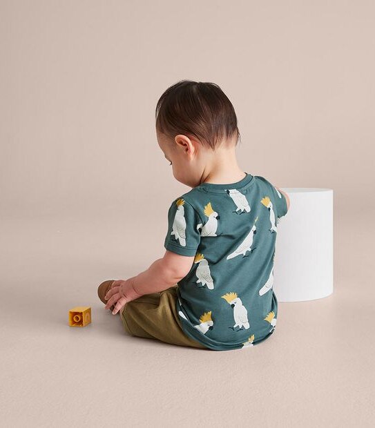 3 Pack Baby Organic Cotton Print T-shirts