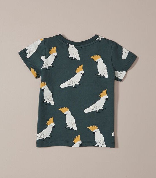 3 Pack Baby Organic Cotton Print T-shirts