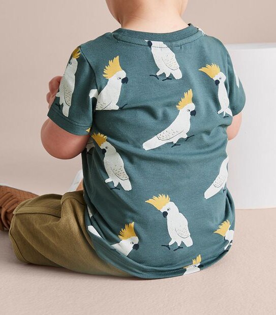 3 Pack Baby Organic Cotton Print T-shirts