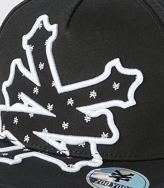Zoo York Snapback