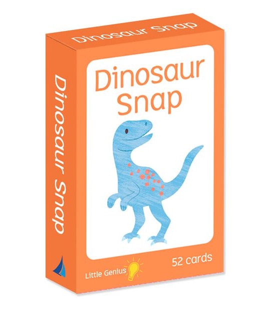 Little Genius Flash Cards - Dinosaur Snap