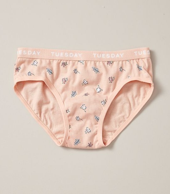 7 Pack Maxx Briefs